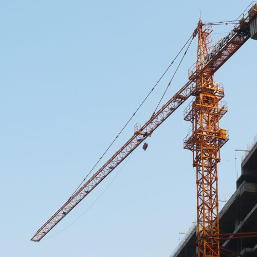 pexels-dropshado-10607459