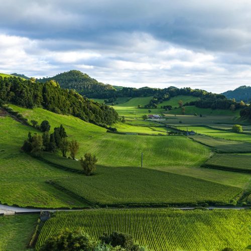 pexels-rafa-de-21730-3013440